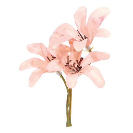 Pick Magnolia Rosa (6 Pezzi)