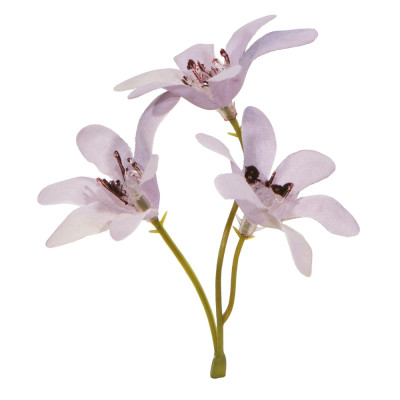 Pick Magnolia Lilla (6 Pezzi)