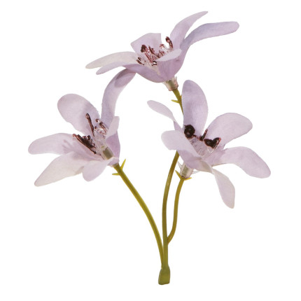 Pick Magnolia Lilla (6 Pezzi)