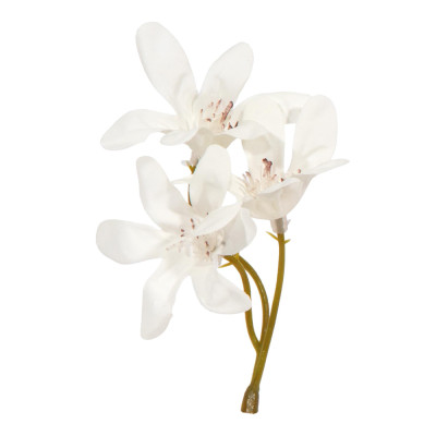 Pick Magnolia Bianca (6 Pezzi)