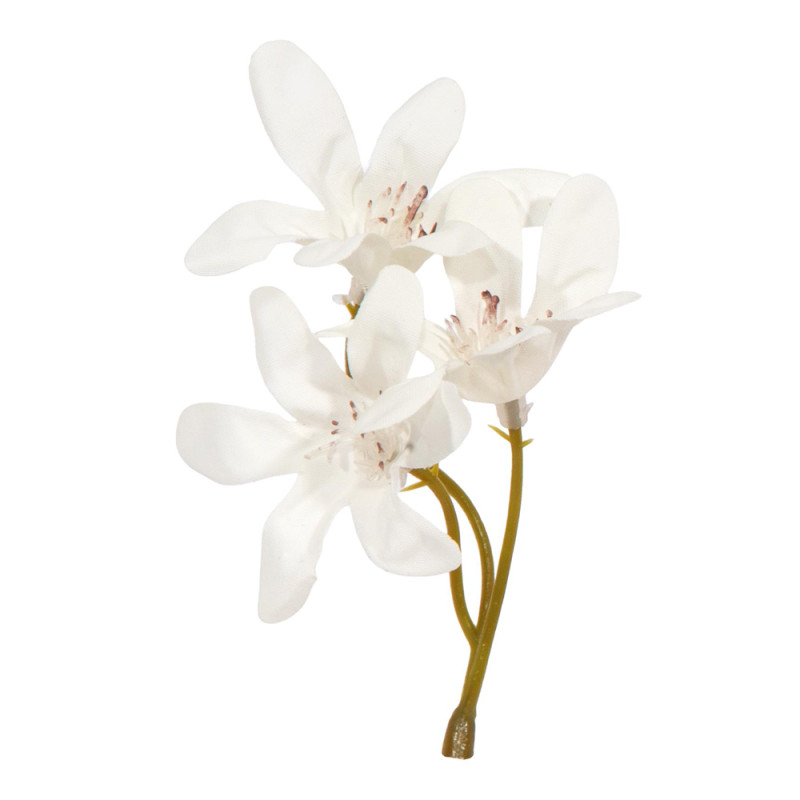Pick Magnolia Bianca (6 Pezzi)