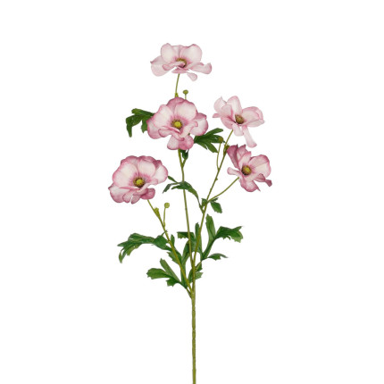 Ramo di Ranuncolo Malva