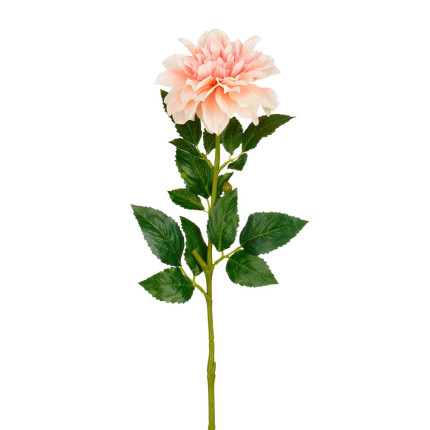 Dalia Salmone con Foglie