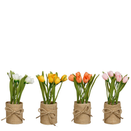 Tulipani in Vaso di Juta