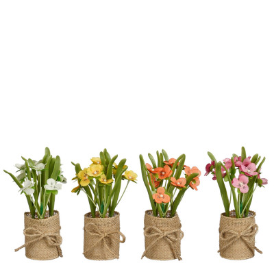 Viola del Pensiero in Vaso di Juta