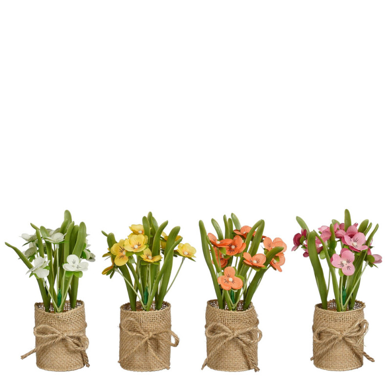 Viola del Pensiero in Vaso di Juta