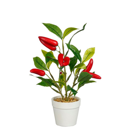 Pianta di Peperoncini in Vaso