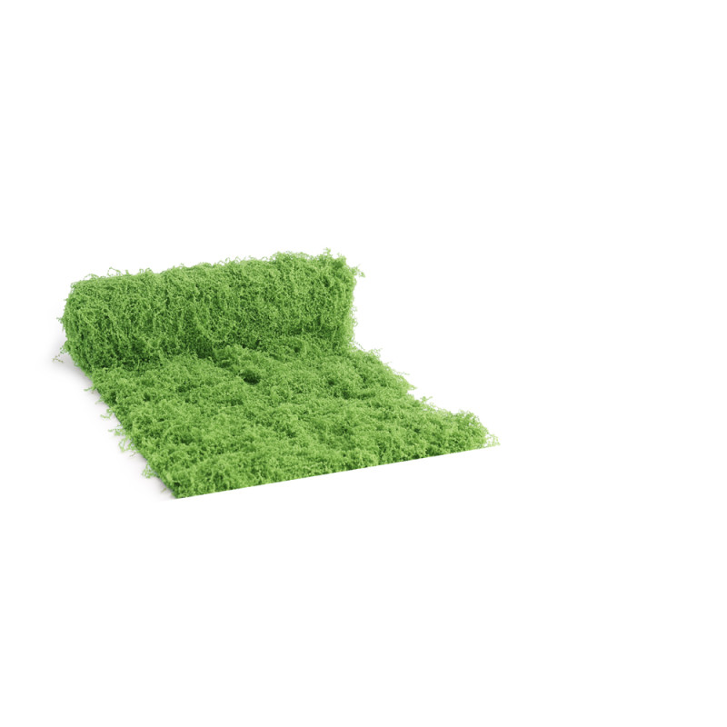 Erba Muschiata Verde Chiaro