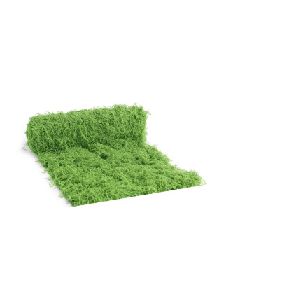 Erba Muschiata Verde Chiaro