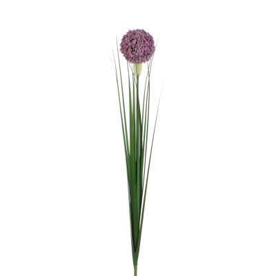 Ramo di Allium 2