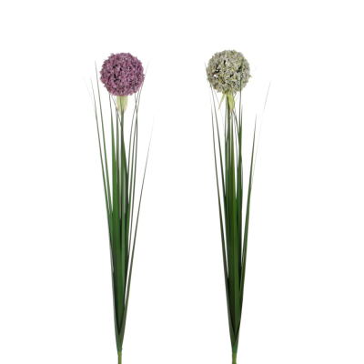 Ramo di Allium