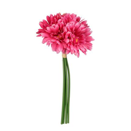 Mazzo di Margherite Fucsia