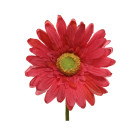 Gerbera con Stelo