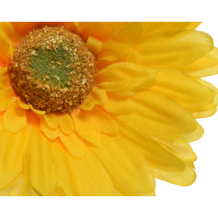 Gerbera