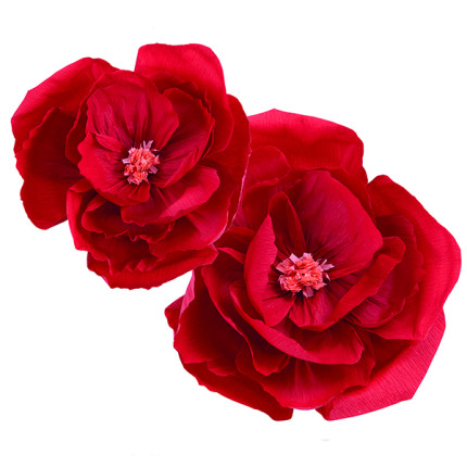 Fiori In Carta (2 Pezzi)