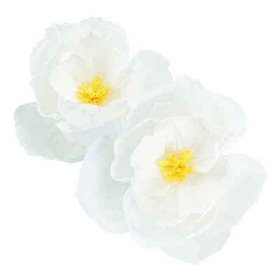 Fiori In Carta (2 Pezzi)