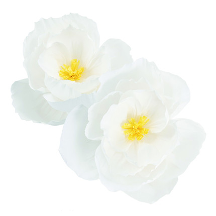 Fiori In Carta (2 Pezzi)