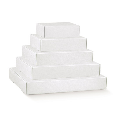 Scatola E-Commerce Fast in Cartoncino Bianco