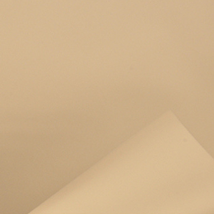 Fogli in Polipropilene Satinato Oro (25 Fogli)