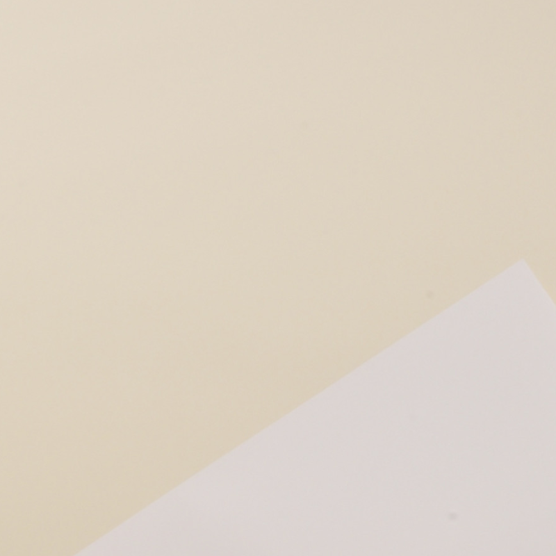 Incarto in Polipropilene Satinata Bicolor Tinta Unita (25 Fogli)