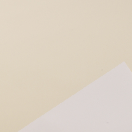 Incarto in Polipropilene Satinata Bicolor Tinta Unita (25 Fogli)