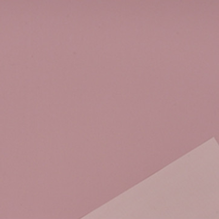 Incarto in Polipropilene Satinata Bicolor Tinta Unita (25 Fogli)