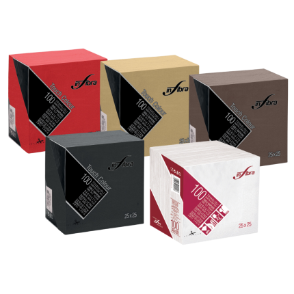 Tovaglioli 2 Veli (100 Pezzi)