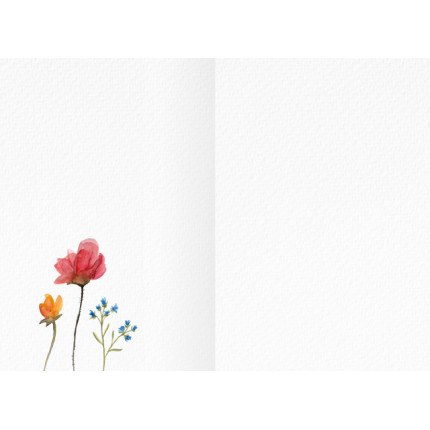 Biglietto Sogna a Colori