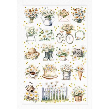 Biglietto Auguri Margherite