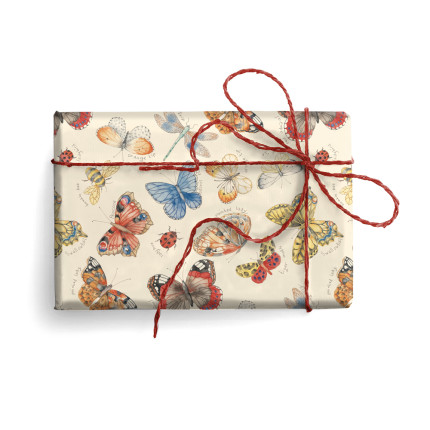 Carta Farfalle Colorate