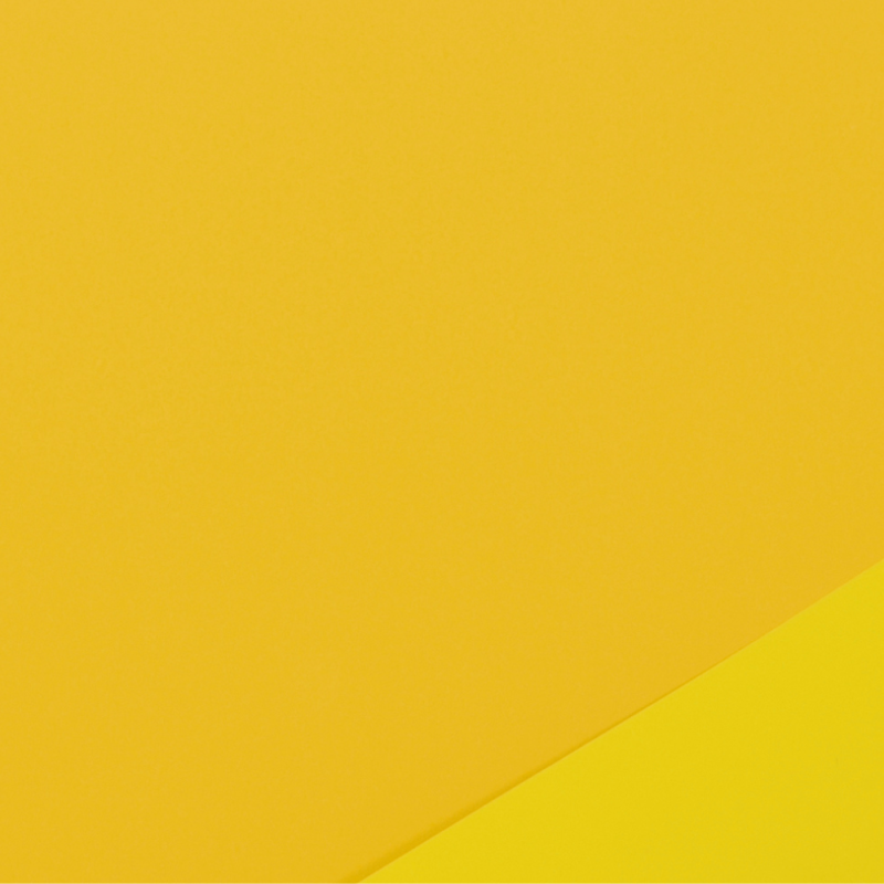 Fogli in Polipropilene Satinato Bicolor Giallo (25 Fogli)