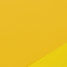 Fogli in Polipropilene Satinato Bicolor (25 Fogli)