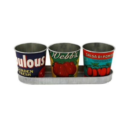 Set Vassoio e 3 Vasetti Tomato