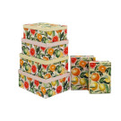 Scatola Agrumi con Coperchio