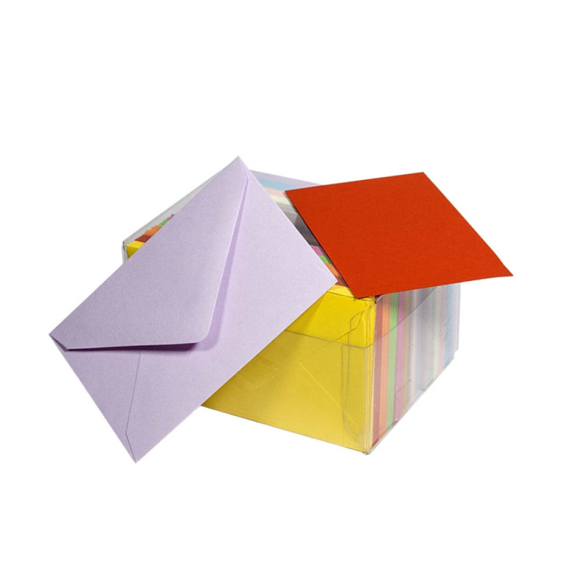 Buste Colorate con Cartoncino 6x8cm (100 Pezzi)