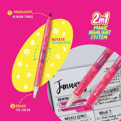 Evidenziatore  Cancellabile 2