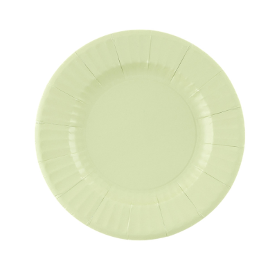 Piatti Pastel Verde Salvia (8 pezzi) 2