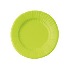 Piatti in Carta Pastel Verde Lime (8 pezzi)