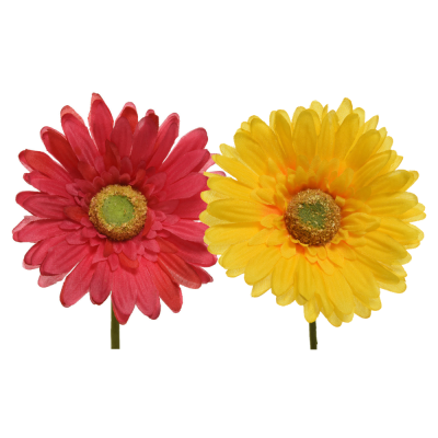 Gerbera con Stelo