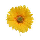 Gerbera con Stelo