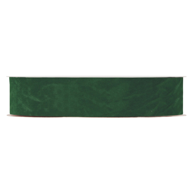 Nastro doppio velluto verde