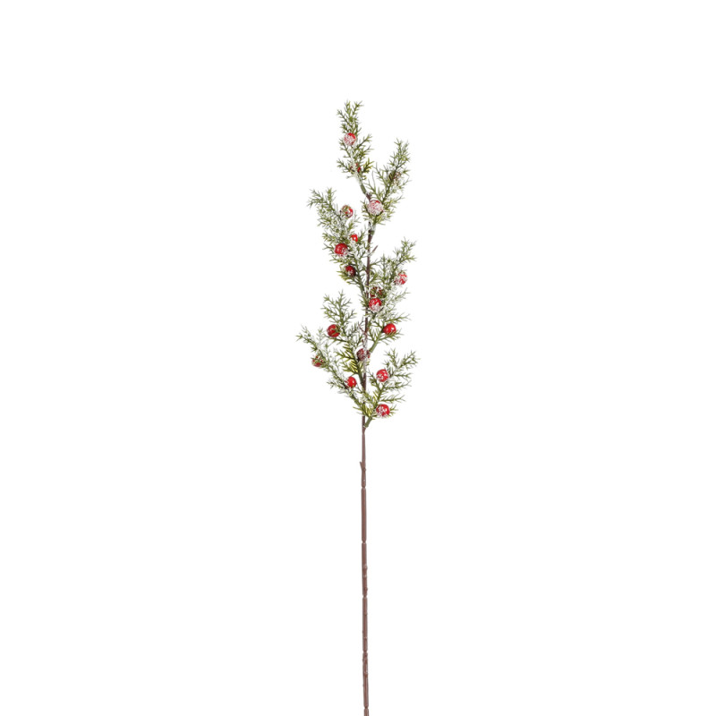 RAMO PINO CON BACCHE 67CM