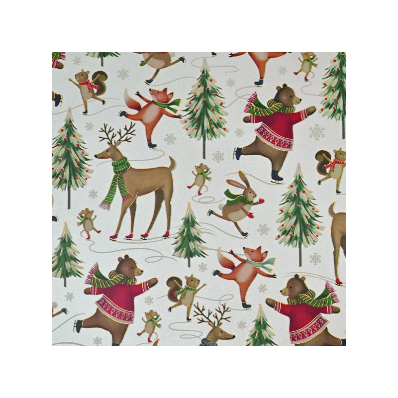 Carta da Regalo Animali su Pattini (25 Fogli)