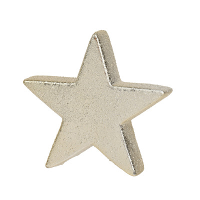 STELLA DECORATIVA IN GRES CHAMPAGNE 10CM 2