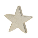 STELLA DECORATIVA IN GRES CHAMPAGNE 10CM