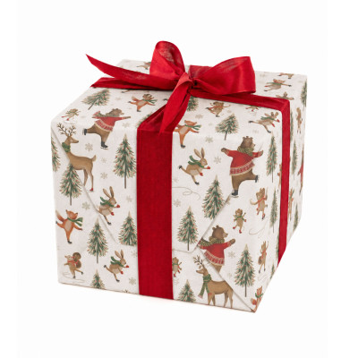 Carta da Regalo Animali su Pattini (25 Fogli)