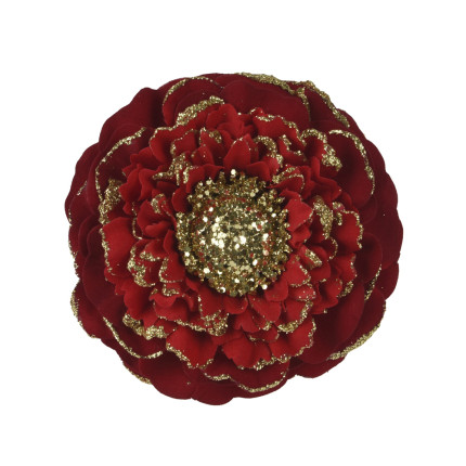 Fiore di Zinnia Glitterata