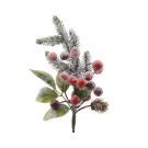 Pick pigne e bacche innevato
