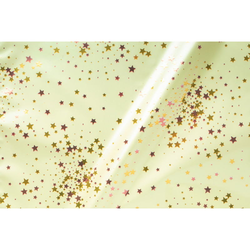 Buste da Regalo Little Star in Polipropilene: Incartare