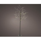 Albero Luminoso per Esterno